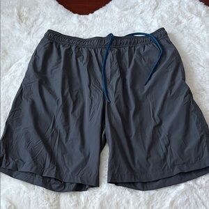 Kirkland Signature Gray and Blue Shorts